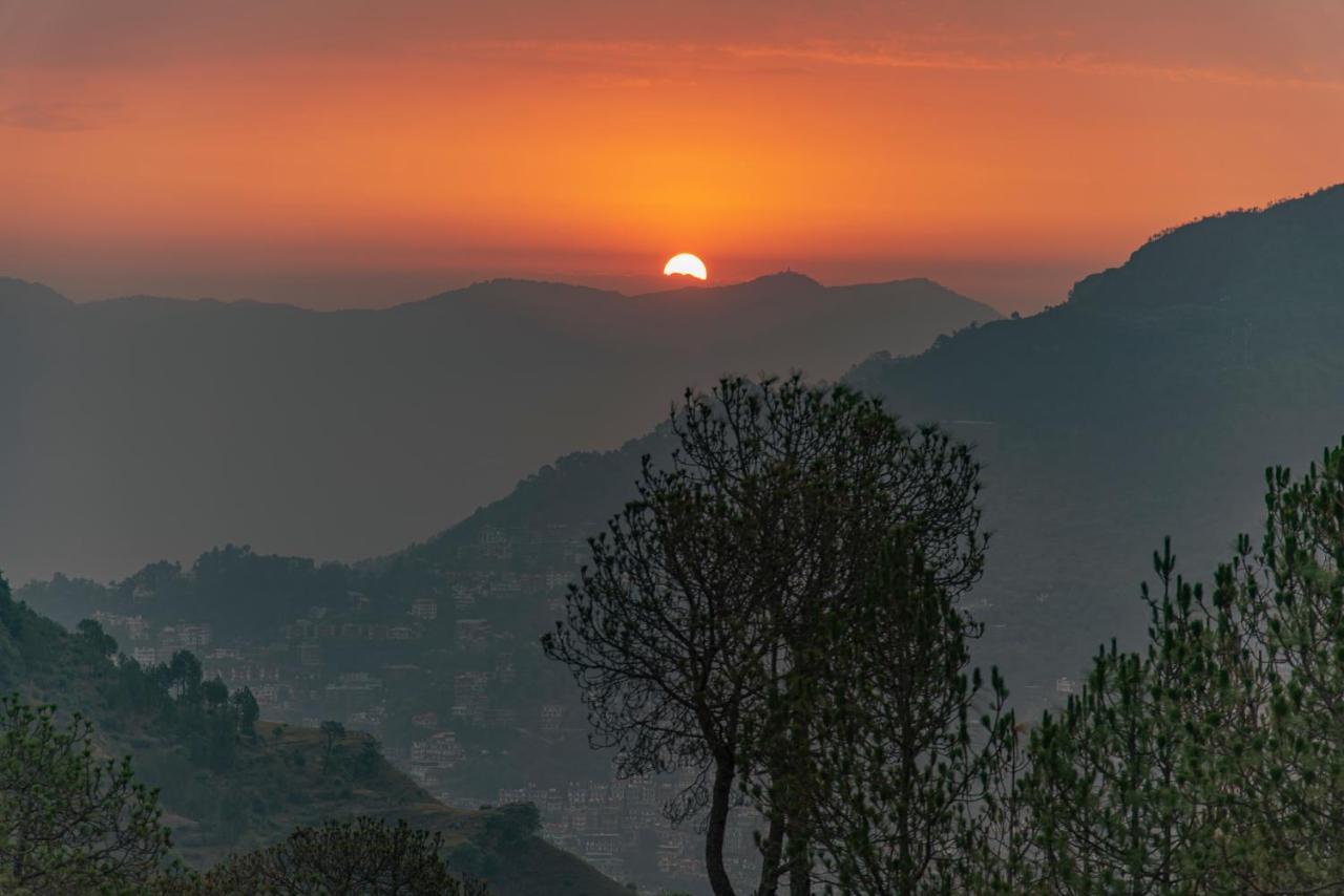 Hillcrest Uphills Daire Kasauli Dış mekan fotoğraf