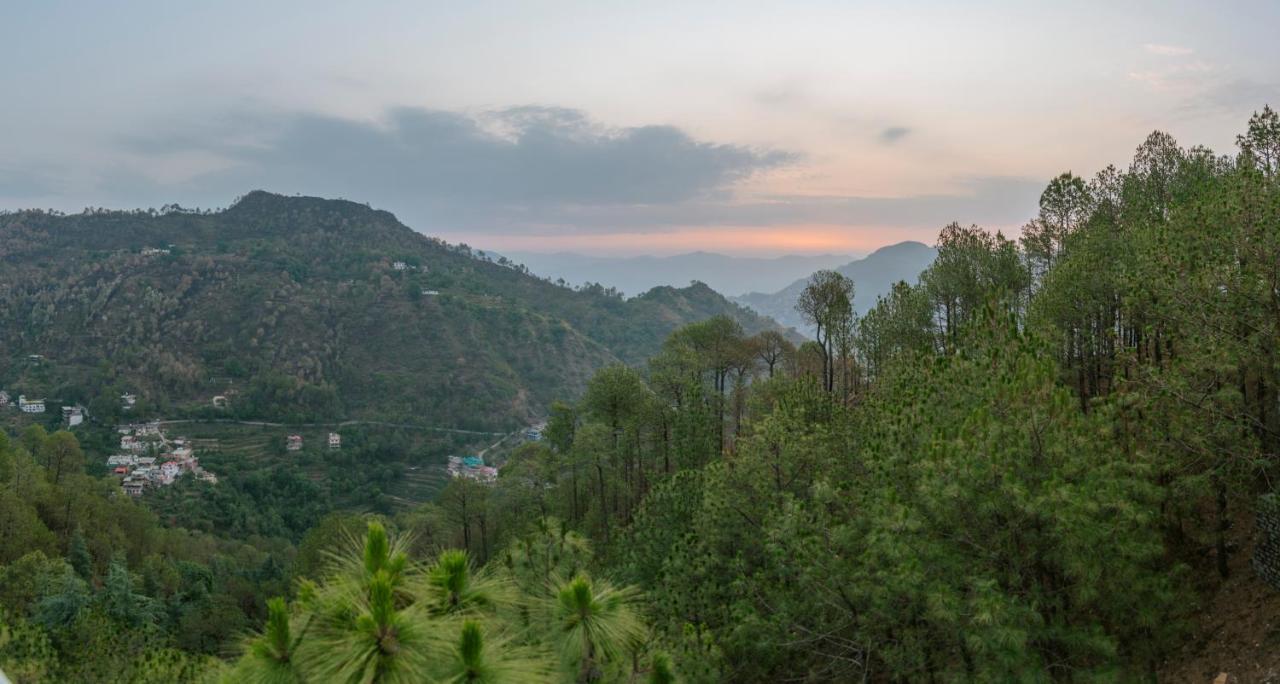 Hillcrest Uphills Daire Kasauli Dış mekan fotoğraf
